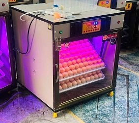 Máy ấp Mic 200 trứng phiên bản 2025 | Bản full cao cấp tự động hiện đại