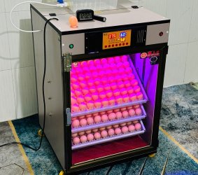Máy ấp Mic 400 trứng phiên bản 2025 | Bản full cao cấp tự động hiện đại