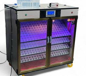 Máy ấp Mic 800 trứng phiên bản 2025 | Bản full cao cấp tự động hiện đại