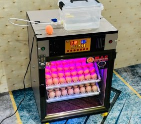 Máy ấp trứng 100 cao cấp (112 sức chứa) Phiên bản mới nhất 2025 | Bản Cao Cấp