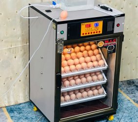 Máy ấp trứng 150 ( 168 sức chứa tối đa) Phiên bản mới nhất 2025 Bản Cao cấp