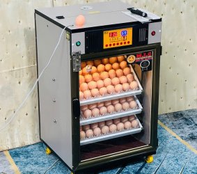 Máy ấp trứng 150 ( 168 sức chứa tối đa) Phiên bản mới nhất 2025 Bản tiêu chuẩn