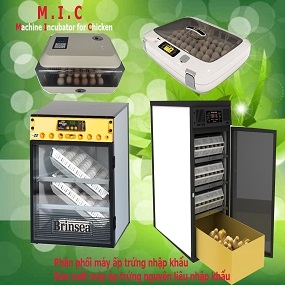 Lỗi nhỏ trong quá trình sử dụng máy ấp trứng – Những Điều bạn cần biết