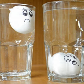 Mẹo kiểm tra số ngày tuổi của trứng gà