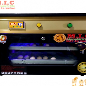 Những lưu ý khi mua máy ấp trứng gà 100 trứng