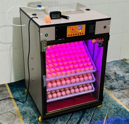 Máy ấp Mic 400 trứng phiên bản 2025 | Bản full cao cấp tự động hiện đại