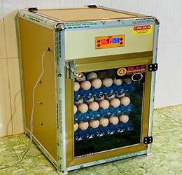 Máy ấp trứng 90 bản tiêu chuẩn thế hệ mới
